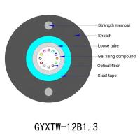GYXTW Mode unique OS1 OS2 OM2 OM3 2 4 6 8 12 24 Cable à fibre optique blindée multimode au cœur Prix par mètre