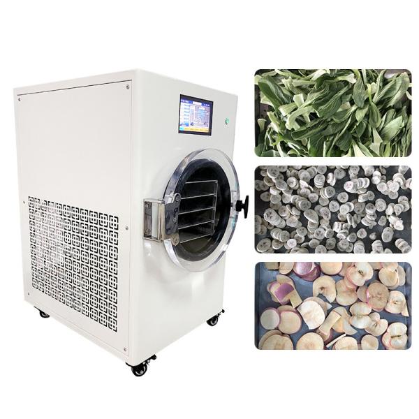 Máquina de secagem 1550W do gelo do laboratório para vegetais de frutos