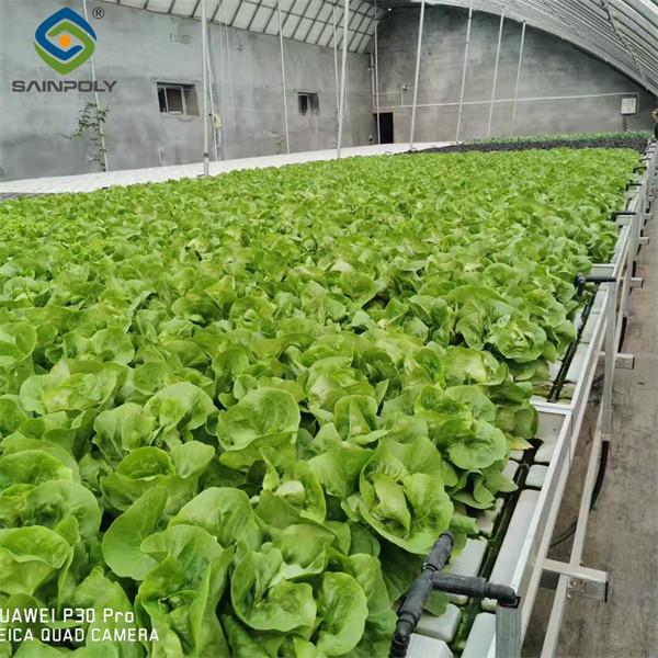 Easy Installation Customized Agricultural Greenhouses With LED Lighting