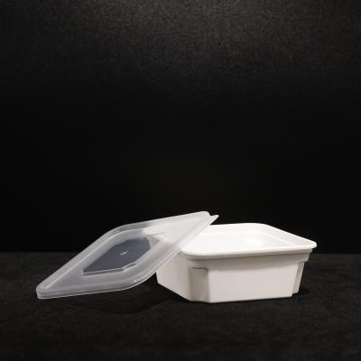 Caixa de almoço de plástico com prova de vazamento multiuso para embalagens de alimentos