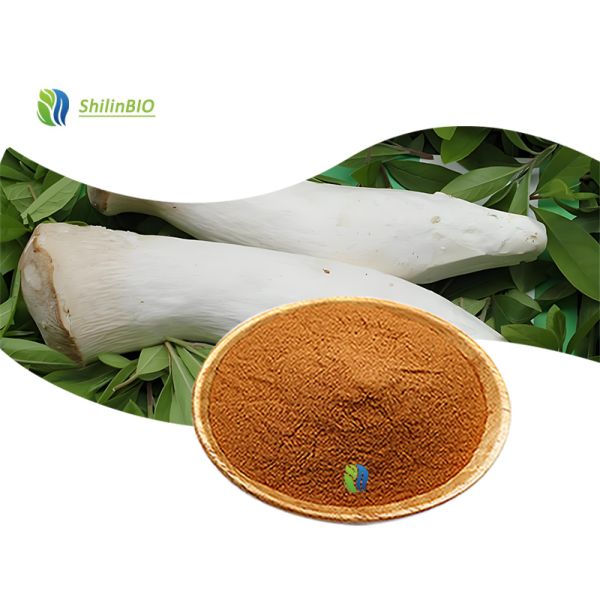 Food Grade King Oyster Mushroom Extract Powder 10%-50% Polysaccharide King Oyster Mushroom Extract Powder