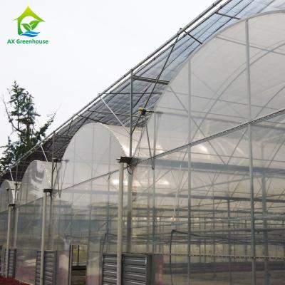 Estufa chinesa do filme plástico para a grande área que cultiva o crescimento