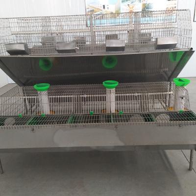 Capacidade galvanizada mergulhada quente dos Mums da superfície 12 da gaiola de aço do coelho da exploração agrícola da rede de arame