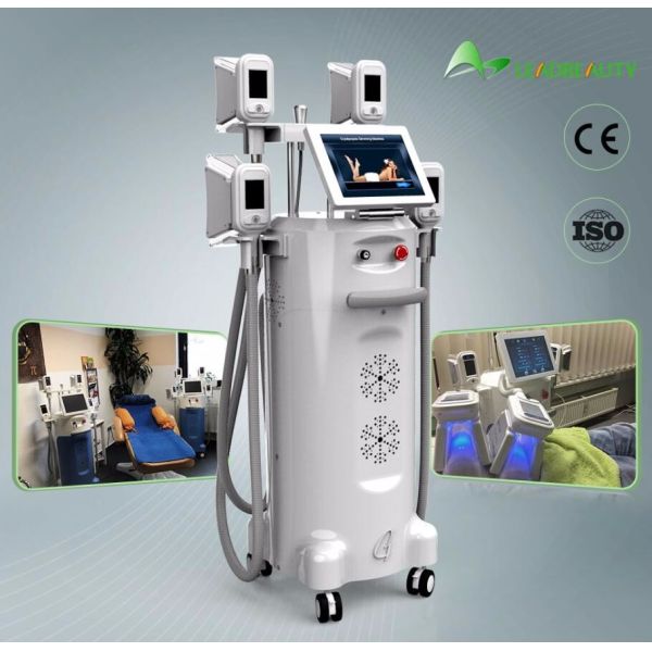 the most effective cryo slimming machine  paypal accepted Hot sale salon and clinic use best quality