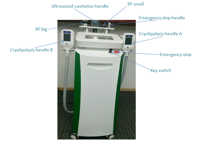 Meticulously-released!!! The most featured medical Cryolipolysis body Slimming machine Green Vertical