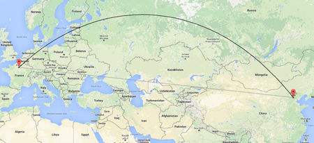 High Mobility Transit Transportation Services Tailr Made Service TNT Logistics