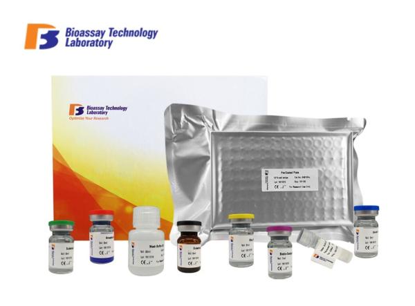Porcine Cathepsin B Sandwich Immunoassay Test Kit / Cath - B ELISA Assay Kit