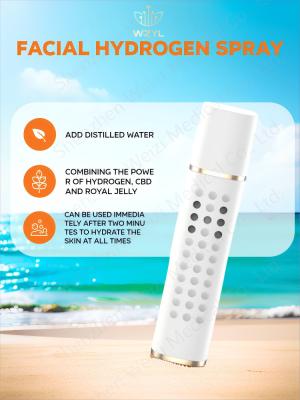 400MAH Battery Powered 15ml Hydrogen Mist Spray Deep Moisturizing