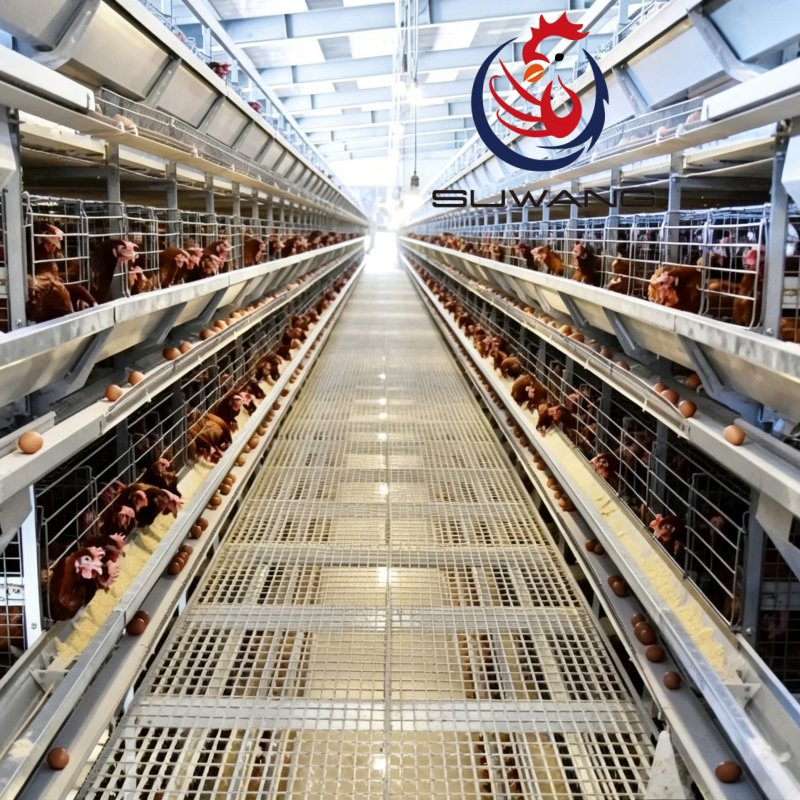 Intelligent 3 4 5 6 Tiers H Type Layer Cage System For Efficient Chicken Raising