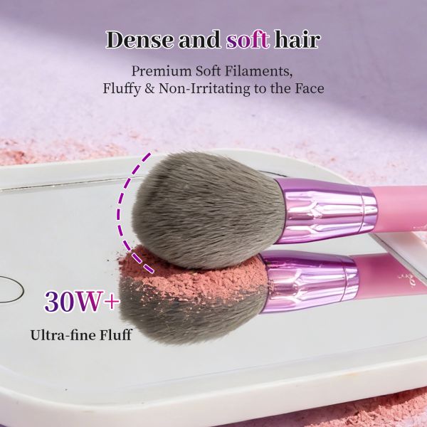 10-Piece Dual-Ended Professional Makeup Brush Set with 20 Functions and Premium Nylon Bristles