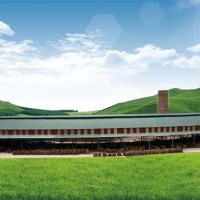 250000 Brick Plant Machine 12.98m Kiln Fully Automatic Brick Making Machine