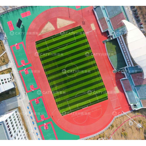 Factory-Cured Semi-Prefabricated Running Track , IAAF Certified Roll for Rapid Professional Installation