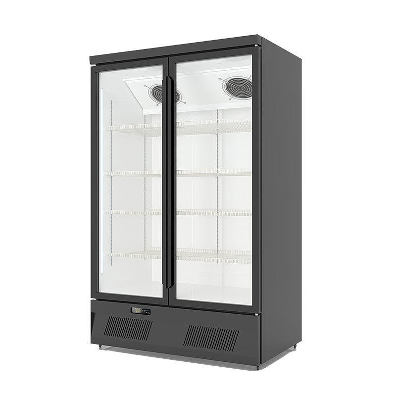 Commercial Bottom-Mounted Freezer with Air Cooling and Digital Display Thermostat