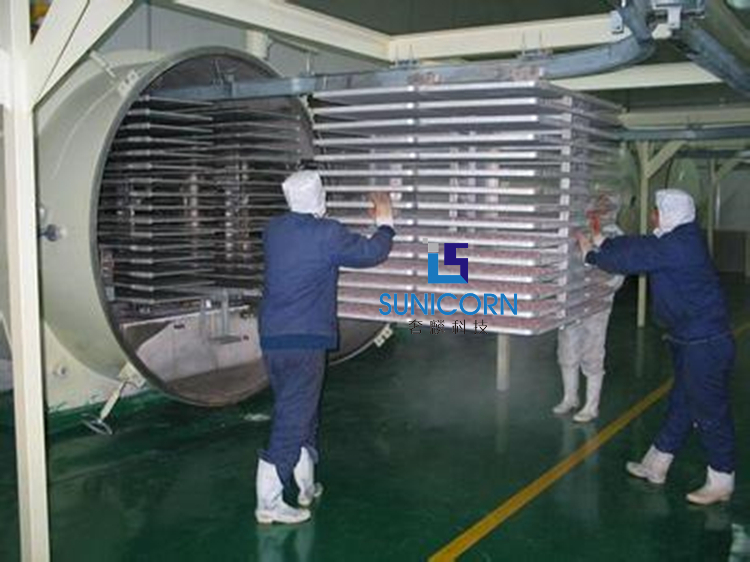 Емкость Lyophilizer 10sqm 100kg еды высокой безопасности большая с нержавеющими подносами