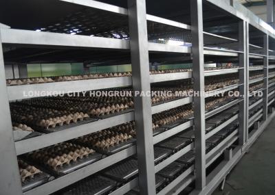 Machine automatique de plateau d'oeufs, machine de plateau d'oeufs, production en série de divers récipient de nourriture