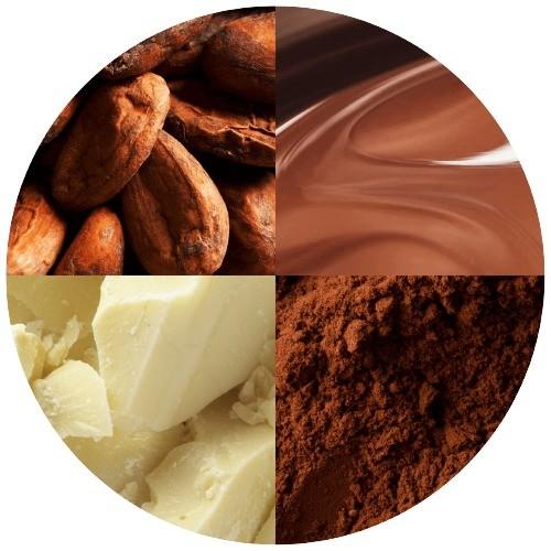 Fermented Alkalized Dutch Cocoa Powder For Dark Chocolate Low Fat ODM
