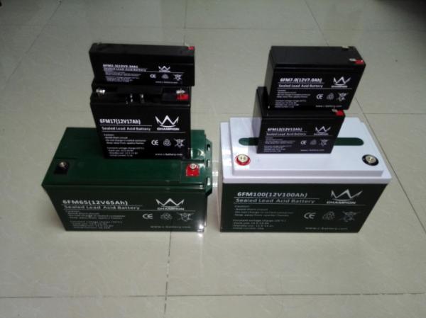 A iluminação 2.8ah selou o tipo peso leve da bateria acidificada ao chumbo da segurança 6V, UL do CE