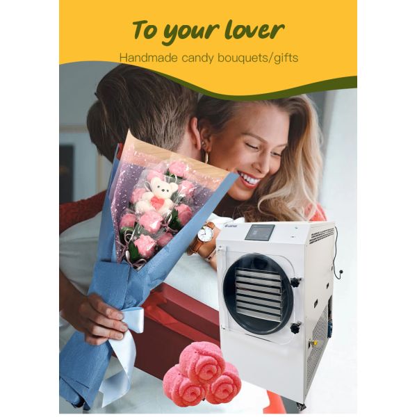 Lanphan 7-Tray Medium Home Freeze Dryer Black White Freeze Dry At Home for food fruit