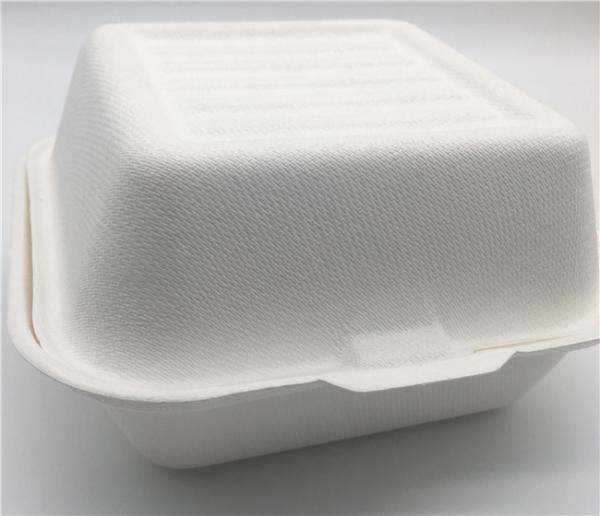 6 Burger Box Food Grade Sugarcane Bagasse Take Away Food Box