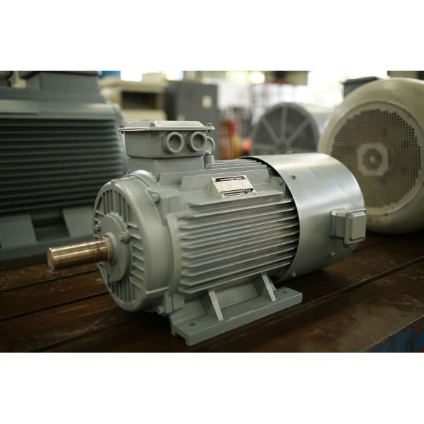 Генератор постоянного магнита 12kw одиночной фазы 600rpm 220V 60hz