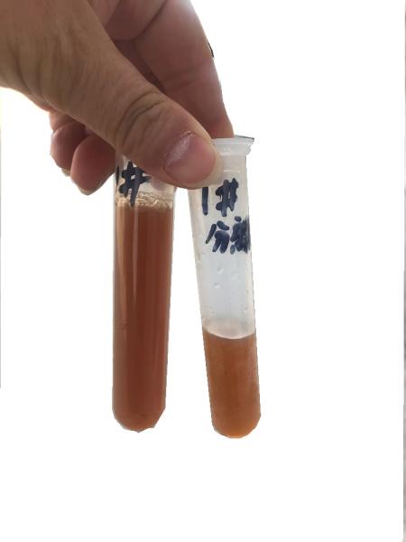 a separação barata do fermento do preço usou o sólido virgem da máquina do óleo de coco do vco tubular e o centrifugador separado líquido