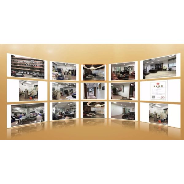 Flower Applique Long Sleeveless Evening Dress A - Line Dress For Wedding Or Ceremony