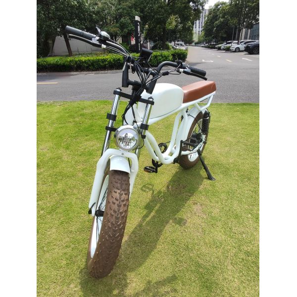 Rear Hub Motor Electric Bike for Fat Tire Chopper E Bike OEM Electric Motorcycles 350W
