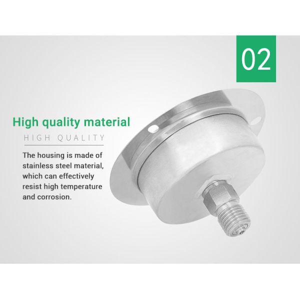 60mm Back Connection Pressure Gauge with Flange 250bar 304ss Liquid-Filled Manometer