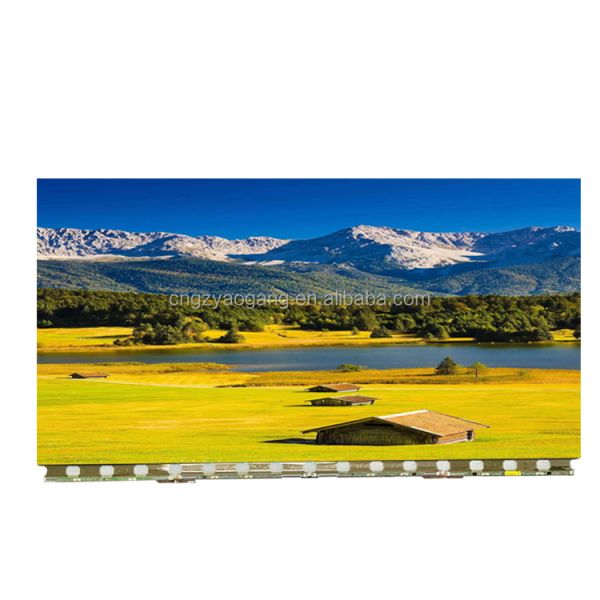 HD 65 Inch AUO LCD Panel T650QVR05.6 LCD LED Display Panel Open Cell