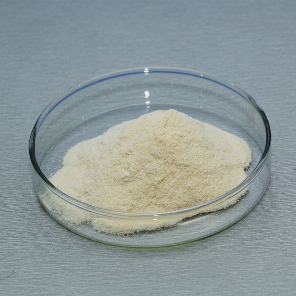 glucoamylase powder 1000000U/G Food Grade Industrial Grade Enzyme Activity Can Be Customized
