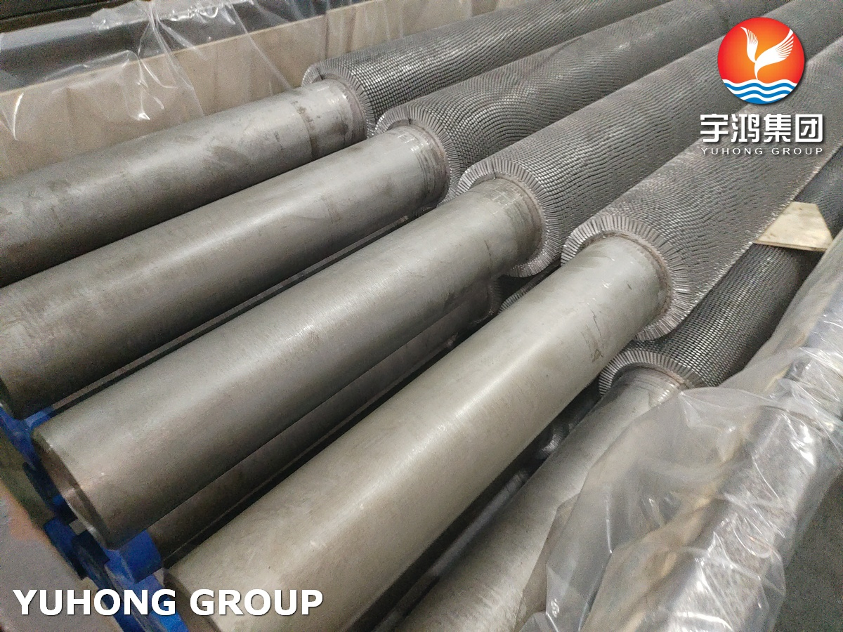 ASTM A312 TP304H Serrated Finned Tubes with 304H Fins Applied For Fired Heaters
