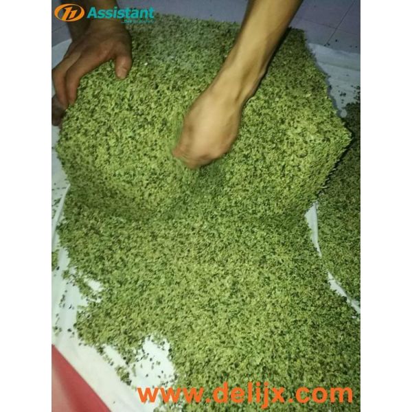 DL-6CCXJ-6080 Granular Granulated Tea Molding Machine for Tieguanyin Oolong Tea Processing