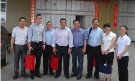 As Per Your Requirement Carbon Graphite Vane and Blade for Vacuum Pump from Suppliers