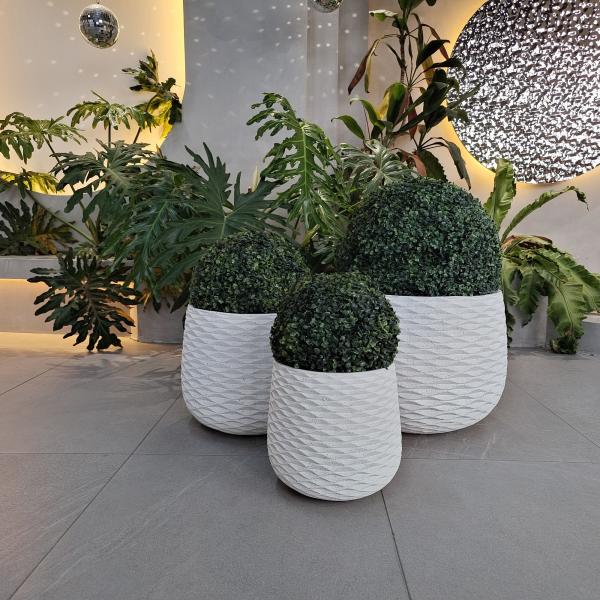 Potes de cemento de fibra moderna resistentes a la helada y diseño de carácter para plantas