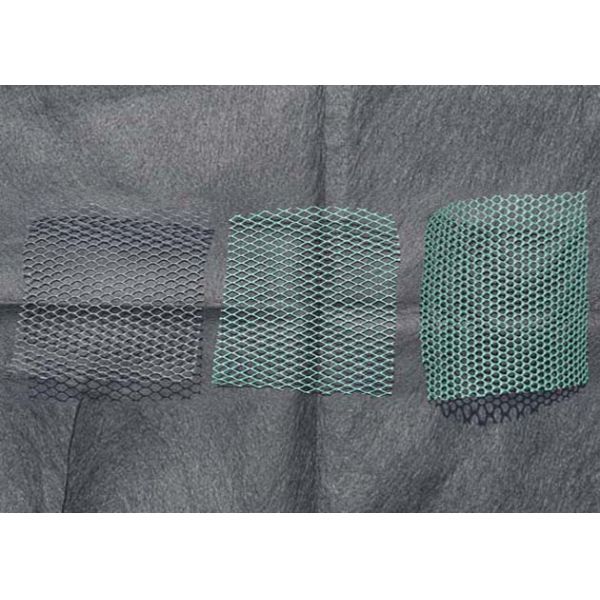 HDPE 2D Drainage Geonet Geosynthetics Material With Good Flexibility Black and Green Color 50m / Roll