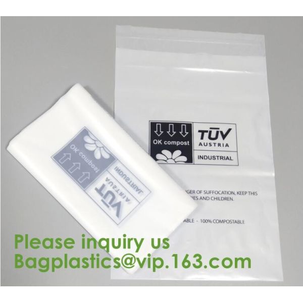 Meat; Sausage;Delicatessen; Spice; Kimchi; Pickle; Salt; Sugar; Muffin; Cake; Pastry;Mooncake; Icecandy; Biscuit Petnut