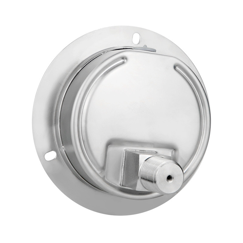 -Made 100mm Precision Axial Flange Edge Pressure Gauge for Water and Gas Measurement