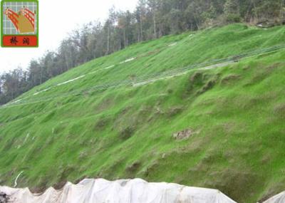 Reinforced Geomat For Erosion Control , Landscape Mesh Erosion Control 350 g / sqm