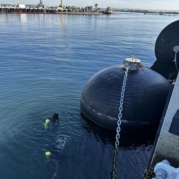 Corrosion Resistant Design Marine Fender High Load Capacity Easy Installation