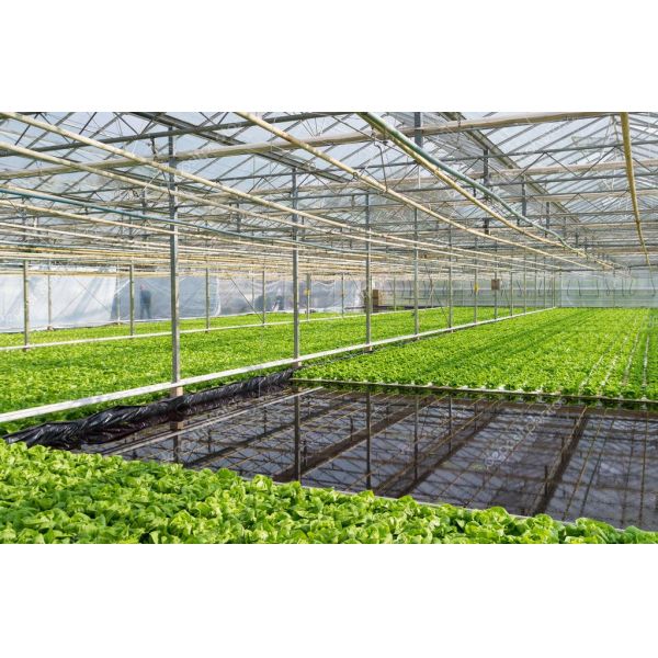 Wholesale Saving-water Hydroponics Vegetables  PVC Nft Hydroponics System For Hydroponic