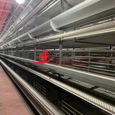 Low Mortality Layer Chicken Cage System Comfortable Environment