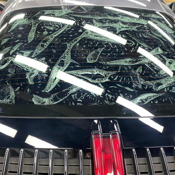 Top Quality 64.5% VLT Heat Resistant Privacy Protection Factory Window Solar Film Car Window Tinting Film