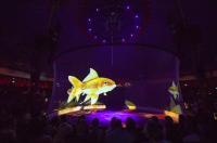 Longueur sans couture ignifuge d'hologramme de projecteur d'écran du matériel invisible 30m de polyamide