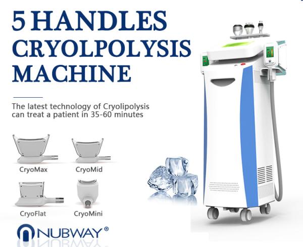 Fat Freeze slimm best seller high performance good quality 5 heads cryolipolysis slimming lipolaser fat frezzing machine