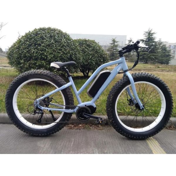 1:1 PAS Electric Fat Tire Mountain Bike Light Blue Color 48V 15A Controller
