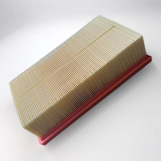 Factory-Supplied Tesla Model 3 Air Filter with OEM Compatibility OE No. 1107683-00-a