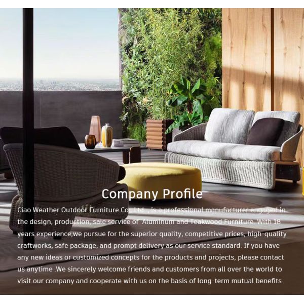 Mail Packing Simple Modern Rattan Sofa Set for Courtyard and Balcony
