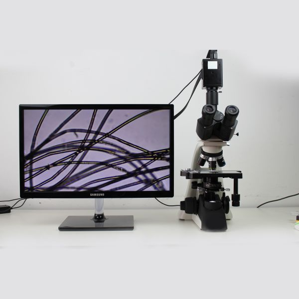 Factory price Economical 40x-1600x binocular biological microscope Microscope