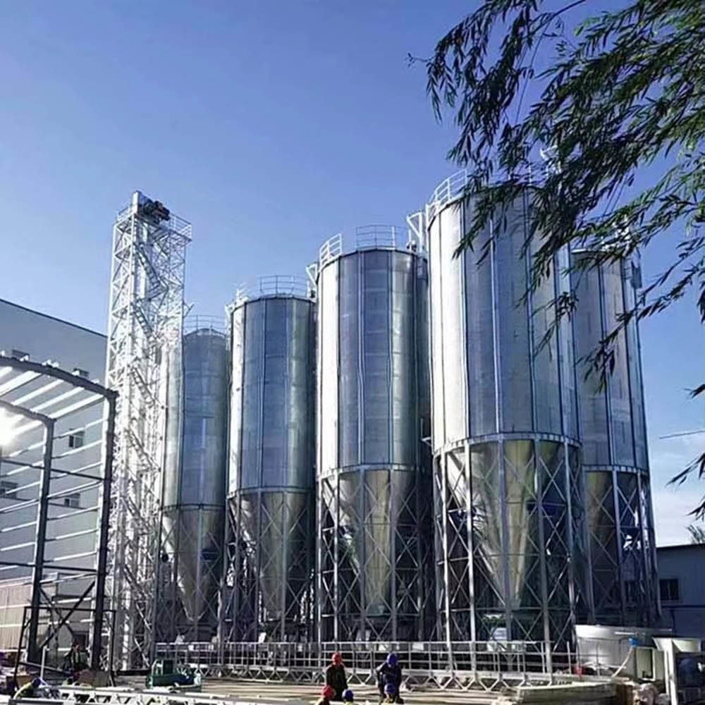 Customizable Galvanized Steel Feed Tower with 3-50 Ton Capacity for Automated Livestock Farming