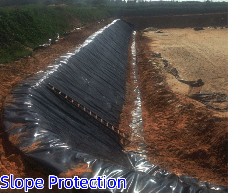 0.3mm-0.8mm Толщина HDPE Геомембрана Рыбный пруд линейка для лотосных прудов лотоса корневых прудов